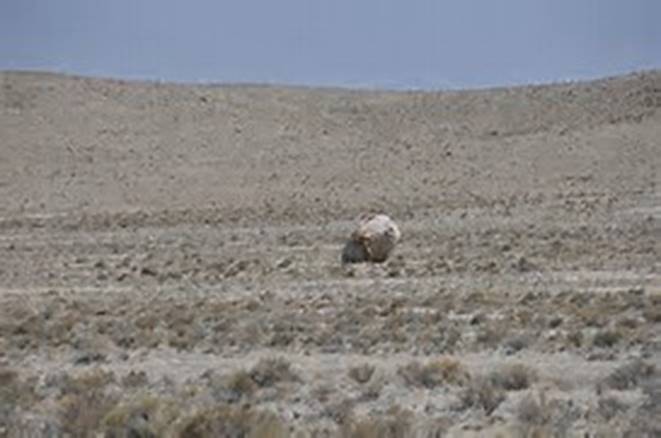 Image result for skull rock, utah